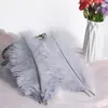 30-35cm Plumas de Avestruz Lámpara de Plumas Arreglo Floral de Plumas de Avestruz Plumas de Boda