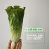 Modelo de Verdura Simulada Lechuga Falsa Repollo Brócoli Hojas Verdes Hojas de Shanghái Modelo de Gabinete Decoración para Casa