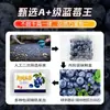 Arándanos Frescos, Fruta Premium de Temporada, Arándanos de Yunnan, Recién Recolectados, Fruta Extra Grande, Fruta para Mujeres Embarazadas, Caja Completa, Sf Express
