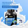Comercio Exterior Exportación Transfronterizo Polvo de Proteína Sabor Arándano Polvo de Proteína de Suero Fabricante En Stock 2 Libras
