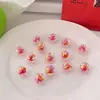 Contas Perfuradas Coloridas em Formato de Maçã, Bicolores, Transparentes, Contas Dentro de Contas para Colar Artesanal DIY, Corrente de Celular, Pulseira, Acessórios para Miçangas