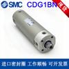 Mini cilindro SMC CG1BN20/CDG1BN25/32/40/50/63/100/50-100-150-200FZ