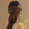 Nueva Horquilla con Borla de Estilo Chino para Mujer, Horquilla de Paso de Estilo Nacional de Alta Gama, Almohadilla para el Cabello, Accesorios para Falda Cara de Caballo, Tocado