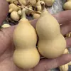 Brinquedo de Cabacinha Torcido à Mão, Cabacinha Pequena, Cabacinha Pequena de Grama Dourada Americana, Atacado e Varejo, Cabacinha de Boca Aberta