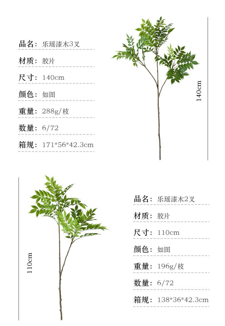 南天竹-漆木_06.jpg