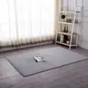 Celebridade da internet sala de estar quarto criado-mudo quarto de criança entrada piso de tatame tapete de banheiro box de chuveiro janela de sacada tapete