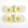 33 peças de cabeças de flores artificiais tipo rosa e peônia, na cor branco leitoso, estilo europeu, para DIY de acessórios de cabelo, guirlandas e decoração de casa, adequadas para arranjos florais