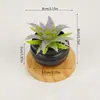 Venta al por mayor Plantas Verdes Creativas de Simulación Escritorio de Oficina Suculentas Pequeños Adornos Plantas Artificiales Flores Falsas Plantas en Maceta