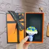 Regalo de Cumpleaños Llavero de Ramo de Hilo Rosa Artificial Llavero Hecho a Mano de Ganchillo Peluche Pequeño Regalo