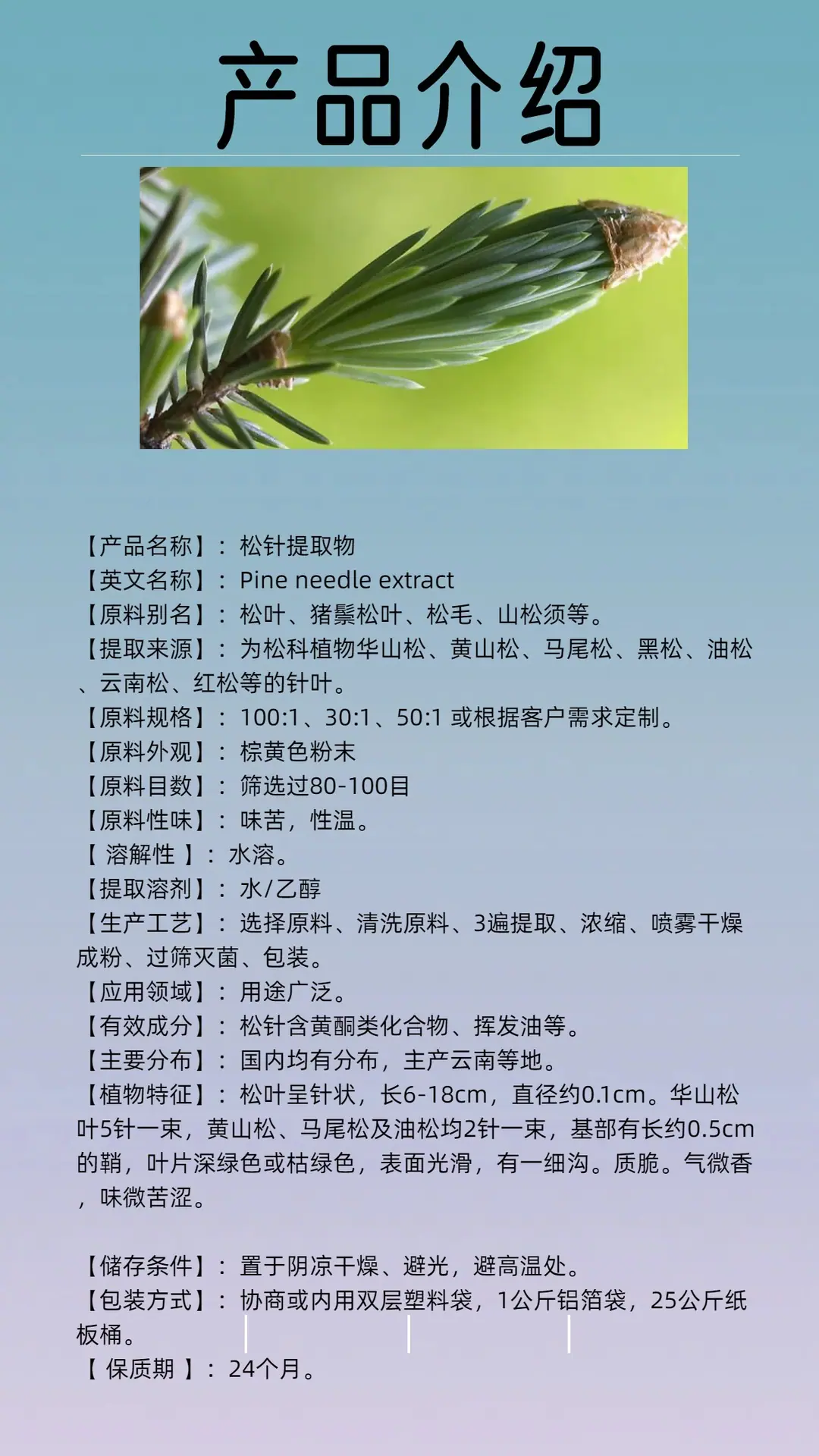 松针提取物