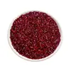 Atacado Strass de Resina Cor AB Transparente 1.5-2MM Strass de Fundo Pontiagudo Fundo Transparente 26 Cores Strass Iridescente Acessórios para Joias com Incrustação de Strass DIY