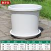 Maceta Gruesa de Nuevo Estilo para Cuatro Estaciones, Resina PP, Grande, Galón, Castle Peak, Control de Raíces, Hogar, Balcón, Rosa, Hortensia, Maceta para Plantar
