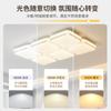Lámpara de Techo para Sala de Estar Moderna Simple Elegante Celebridad de Internet Hogar Nuevo Vestíbulo Luz Principal Accesible Lujo Lámpara de Alto Brillo Protección Ocular 336L