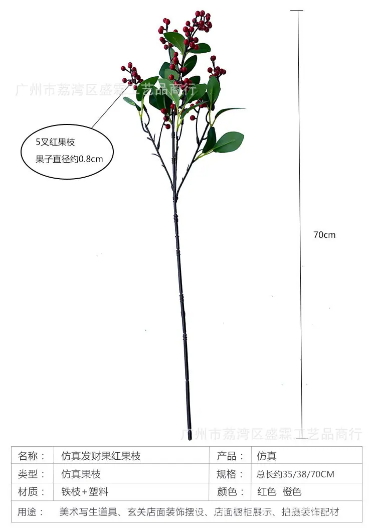 发财果-红果_04.jpg
