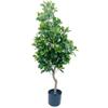 Comércio Exterior Novas Plantas Envasadas Fulu Tong Simuladas, Bonsai de Planta Verde Simulada, Enfeites de Árvore Falsa de Planta Verde de Chão para Hotel Shopping