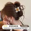 Pinzas acrílicas para el cabello con diseño dulce estilo coreano, a la moda y de alto valor, coloridas, versátiles, lindas pinzas de tiburón al por mayor