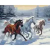 Dropshipping Transfronterizo Pintura al Óleo Digital al por Mayor Pinturas sin Marco 40X50 Amazon Wish Fábrica de Pintura Vestíbulo Ozon Caballo