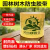 Cinta a Prueba de Insectos para Árboles Aishangke, Cinta Adhesiva Verde Especial para Árboles Frutales y Jardines, Trampa Grande para Insectos de Árboles, Tablero Amarillo, Esencial para la Jardinería