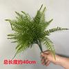 Uma variedade de plantas rim samambaia jardim paisagem paisagismo falso verde material vegetal samambaia persa decoração interna folhas verdes