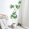 Planta Grande de Madera Pata de Pato en Maceta para Interior para Purificación del Aire, Adecuada para Dormitorio y Sala de Estar, Perenne Todo el Año, Planta Verde de Moda