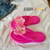 Sudeste Asiático Mais Vendido Chinelos de Tira Phalaenopsis Femininos Verão Dopamina Casual Férias Chinelos Sandálias de Praia