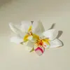 Pendientes de Mariposa y Orquídea Estéreo de Moda Europea y Americana Pendientes de Estilo Bohemio para Vacaciones Venta al por mayor