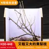 Árbol para paisajismo de acuario sudamericano, ramas secas, ramas de peral amarillo, decoración de sustrato, pecera pequeña, ramas naturales, decoración de paisajismo y paisajismo.