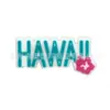 Acessórios de Charms Decorativos Personalizados para Sapato Clog Havaiano de Desenho Animado Criativo Transfronteiriço Clips Decorativos Sapato de Jardim PVC Charme de Sapato em Estoque