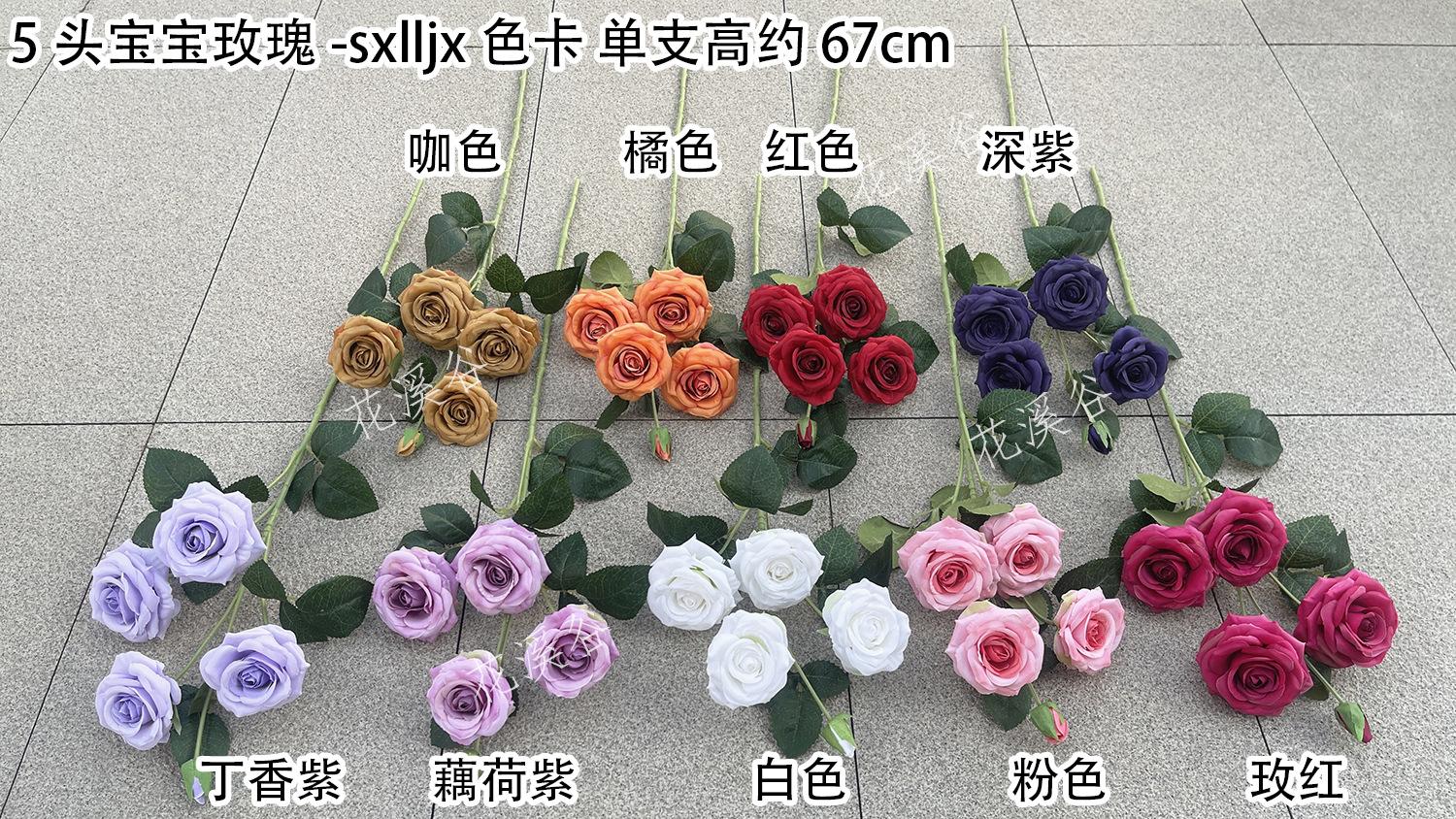 5头宝宝玫瑰-sxlljx 色卡 花溪谷.jpg