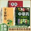Aplicação Externa de Medicina Tradicional Chinesa por Médicos Famosos para Tratar Todos os Tipos de Doenças. uma Coleção Completa de Prescrições de Tratamento Externo e Terapias com Adesivos. um Livro Econômico e Prático para Famílias