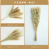 Comida para hámsteres grano lecho para mascotas mijo trigo avena comida para mascotas cáscaras de grano amarillo decoración de nido para mascotas comida para hámsteres