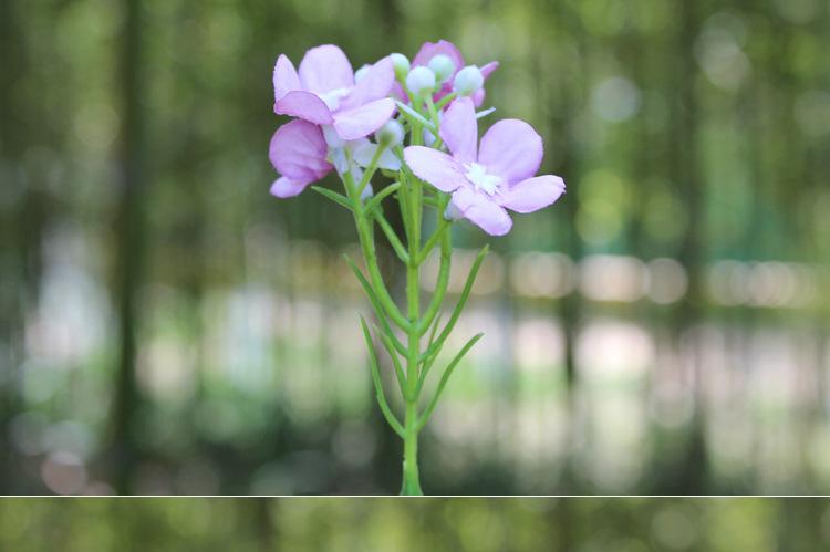 125-花草_10.jpg