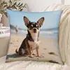 Fundas de Almohada de Animales Más Vendidas de Temu, Fundas de Almohada de Animales Lindas para Dormitorio, Hogar y Decoración de Sofá, Al por Mayor