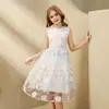 Vestido de princesa de malla bordada para niñas transfronterizo, nuevo estilo de verano, simple y lindo, vestido sin mangas de encaje para anfitriona