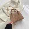 Moda Estilo Hong Kong Bolso Pequeño de Cadena Simple para Mujer Bolso Bandolera de Hombro Único Estilo Nuevo Invierno 2024 para Mujer Bolso Cuadrado Pequeño