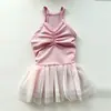 2026 Ropa Nueva para Mascotas Verano Falda de Malla Bichón Perro Teddy Vestido de Ballet con Tirantes Vestido Casual
