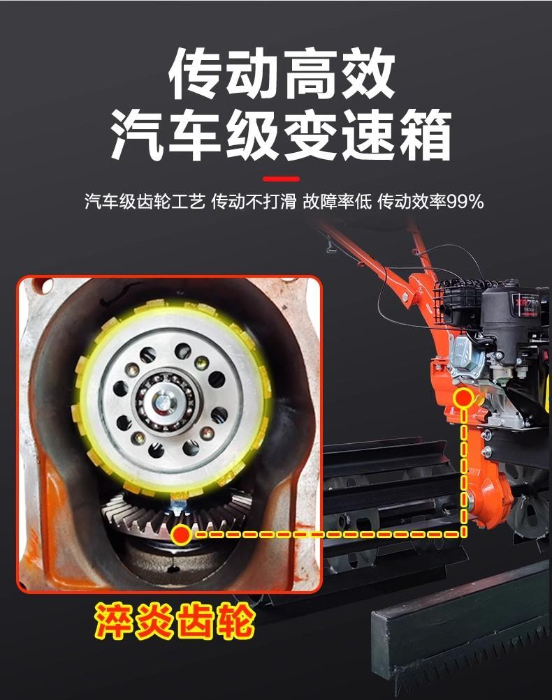详情3