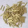 Tapas Metálicas Lisas de Aleación de Cobre Chapado Laminado Kurojin para Accesorios de Cordones DIY y Extremos de Cordón para Ropa/Sombreros, Diámetro Interior 2.9mm