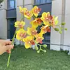 Orquídea phalaenopsis de tallo corto y 2 pétalos, impresa en 3D, flor artificial, flor falsa para decoración de bodas y hogar, venta al por mayor