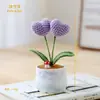 Corazón Tejido a Crochet Hecho a Mano, Planta en Maceta Pequeña Producto Terminado, Flor en Forma de Corazón Tejida con Hilo Decoración de Escritorio con Maceta, Regalo Creativo