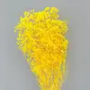 Arranjo de Flores para Decoração de Casa, Estilo Fresco e Natural, Flores Preservadas, Buquê Sonhador de Gipsofila Estrelada Atacado