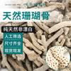 Material Filtrante para Acuario Hueso de Coral Anillo Cerámico Piedra Volcánica Casa Bacteriana Material Filtrante Decoración de Paisaje de Acuario Arena Base Envío Gratis