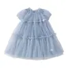 Faldas para Niñas 2026 Nuevo Verano Falda de Malla para Bebé Vestido de Verano Falda Larga para Niña Falda Tutú Falda de Princesa para Niñas