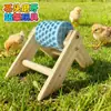 Alimentador de Pássaro Runtin Frango Pet Alimentador Giratório Entretenimento Pintinho Esquilo Pedra de Roer