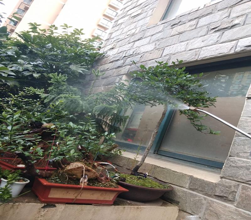 出水形状伞形.jpg
