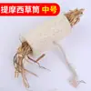 Fuente Amoy en nombre de Kelly conejo de mascota pequeña Totoro hámster estropajo rábano estropajo pieza de mordida molares tubo de hierba