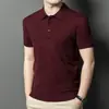 Suéter Polo de Punto para Hombre de 260g, Lana Fina, Agradable a la Piel, Terciopelo, Color Sólido, Cuello Solapa, Manga Corta, Capa Base