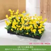 Flores Artificiales, Arreglos de Flores Falsas, Césped Artificial, Flores de Plástico, Plantas Verdes, Maceteros, Canaletas para Flores, Arreglos Florales, Flores de Seda, Separadores, Vallas, Plantas Verdes, Paisajismo