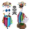 Fabricante de conjunto de disfraces de ganso para porche, impermeable con forma de ganso transfronterizo de Amazon, set de disfraces de ganso para jardín