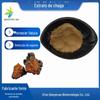 Extrato de Chaga 10:1 Polissacarídeo de Chaga Pó de Chaga Solúvel em Água Crisântemo Suprimento Pronto Frete Grátis